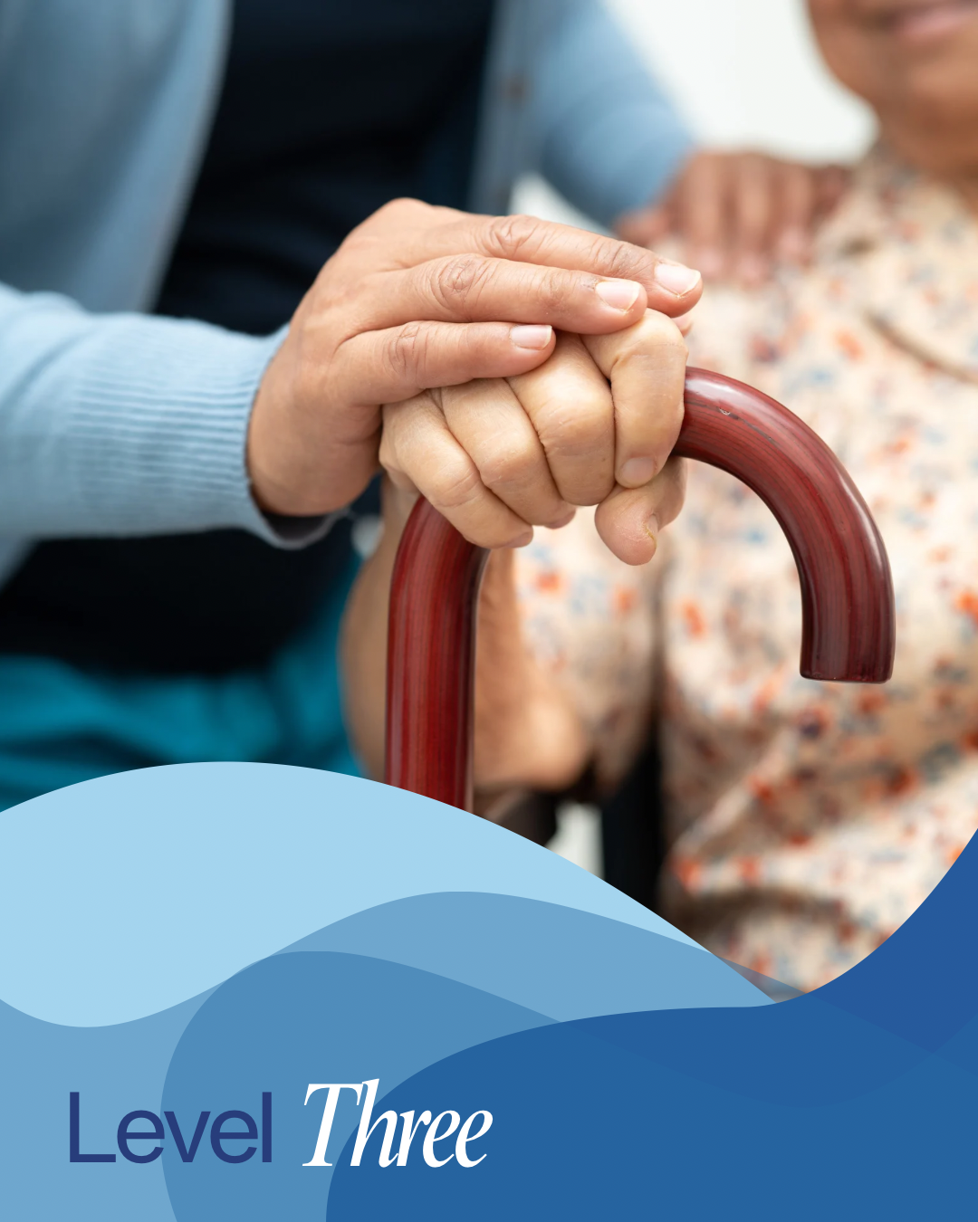 Level 3 Home Care