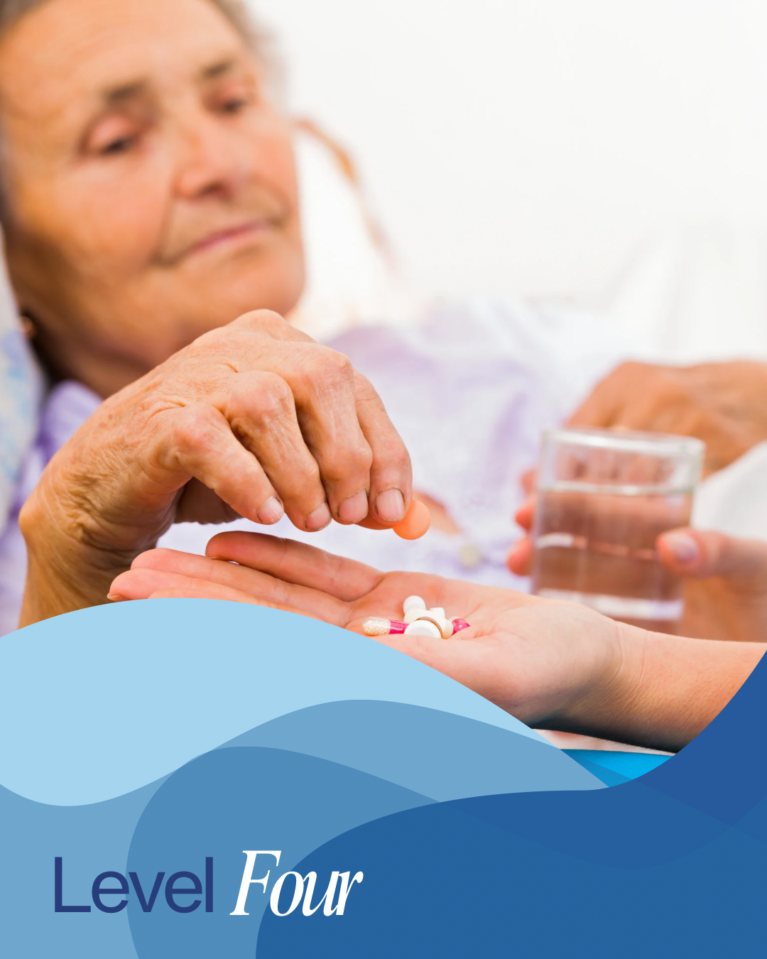 Level 4 Home Care