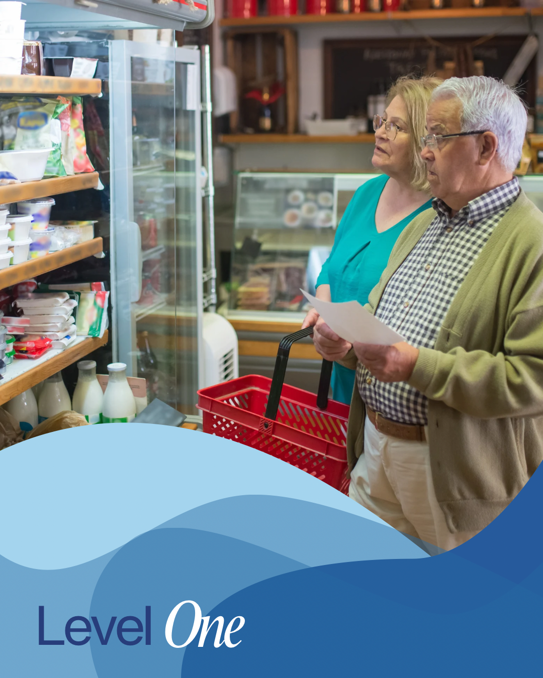 Level 1 Home Care